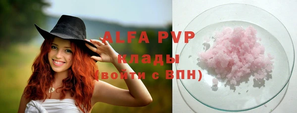 шишки Пересвет
