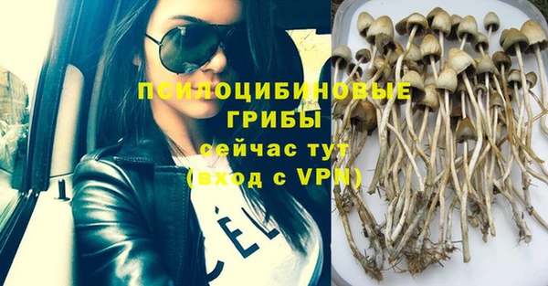 MESCALINE Абаза